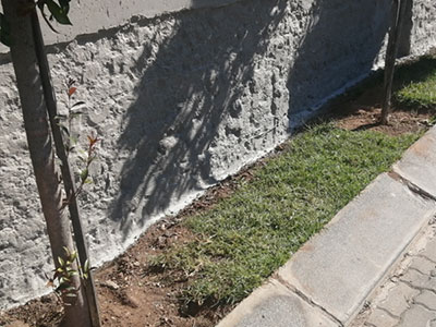 Damp Proofing